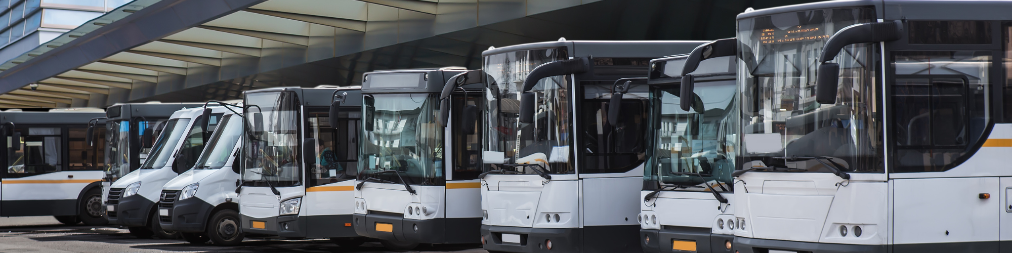 Buses